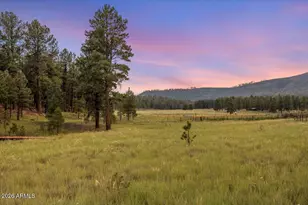 36 N County Road 2147 --, Alpine, AZ 85920 - Photo 62