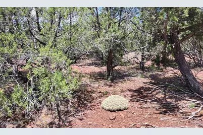 13664 Round Mountain Expressway, Williams, AZ 86046 - Photo 40