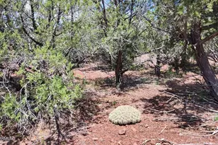 13664 Round Mountain Expy, Williams, AZ 86046 - Photo 40
