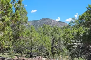 13664 Round Mountain Expy, Williams, AZ 86046 - Photo 30