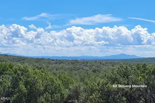 13664 Round Mountain Expy, Williams, AZ 86046 - Photo 30