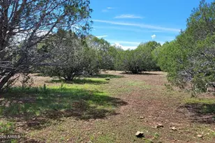 13664 Round Mountain Expy, Williams, AZ 86046 - Photo 20