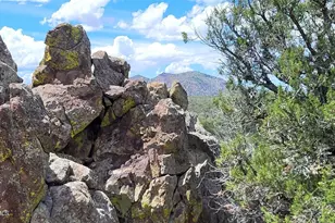 13664 Round Mountain Expy, Williams, AZ 86046 - Photo 42