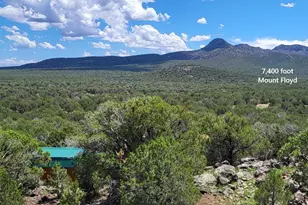 13664 Round Mountain Expy, Williams, AZ 86046 - Photo 16