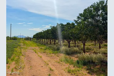 0 E Phillips Rd 40 Acres -- #-, Willcox, AZ 85643 - Photo 18