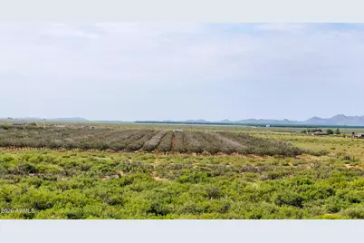 0 E Phillips Rd 40 Acres -- #-, Willcox, AZ 85643 - Photo 8
