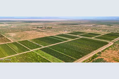 0 E Phillips Rd 40 Acres -- #-, Willcox, AZ 85643 - Photo 6