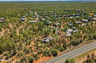 3161 N Eagle Landing Road N, Show Low, AZ 85901 - Photo 30