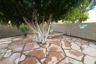 11531 E Decatur St, Mesa, AZ 85207 - Photo 66