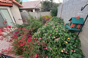 4420 Calle Vista, Sierra Vista, AZ 85635 - Photo 26