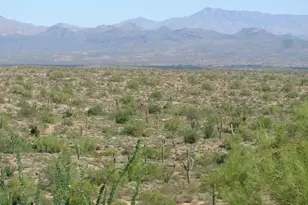 15926 E Rocky Mountain Pl, Fountain Hills, AZ 85268 - Photo 16
