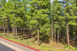 2382 W Cripple Creek Dr, Flagstaff, AZ 86001 - Photo 2