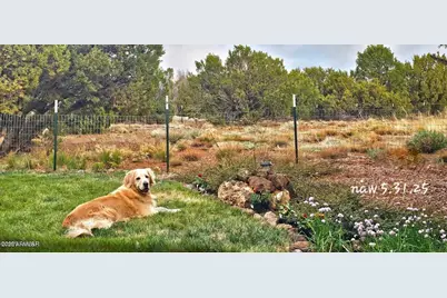 3 N3122 --, Vernon, AZ 85940 - Photo 6