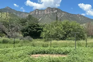 8112 S High Rd, Hereford, AZ 85615 - Photo 4