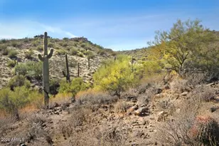 11664 N Sunset Vista Dr, Fountain Hills, AZ 85268 - Photo 16