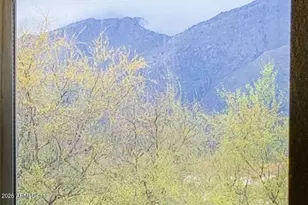 7050 E Sunrise Dr, Tucson, AZ 85750 - Photo 20