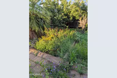 5185 E Paseo Las Palmas --, Sierra Vista, AZ 85635 - Photo 50