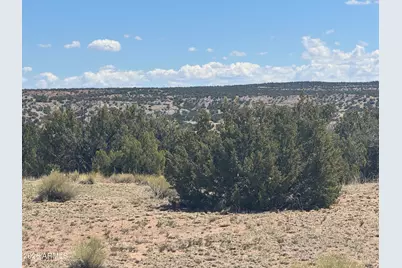 Lot 753 Woodland Valley Ranch -- #753, Saint Johns, AZ 85936 - Photo 12