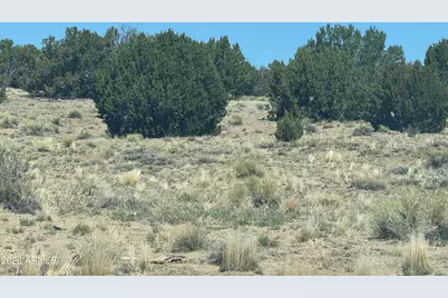 Lot 753 Woodland Valley Ranch -- #753, Saint Johns, AZ 85936 - Photo 2