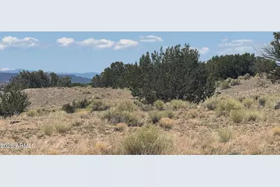 Lot 753 Woodland Valley Ranch -- #753, Saint Johns, AZ 85936 - Photo 1
