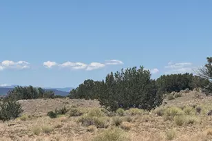 Lot 753 Woodland Valley Ranch --, Saint Johns, AZ 85936 - Photo 1