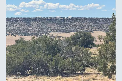 Lot 753 Woodland Valley Ranch -- #753, Saint Johns, AZ 85936 - Photo 14
