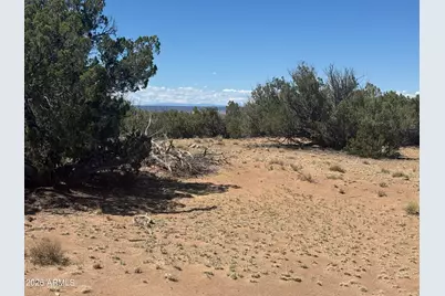 Lot 753 Woodland Valley Ranch -- #753, Saint Johns, AZ 85936 - Photo 20