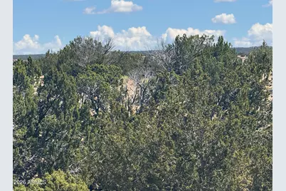 Lot 753 Woodland Valley Ranch -- #753, Saint Johns, AZ 85936 - Photo 10