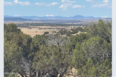 Lot 753 Woodland Valley Ranch -- #753, Saint Johns, AZ 85936 - Photo 6