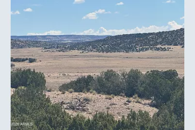 Lot 753 Woodland Valley Ranch -- #753, Saint Johns, AZ 85936 - Photo 8