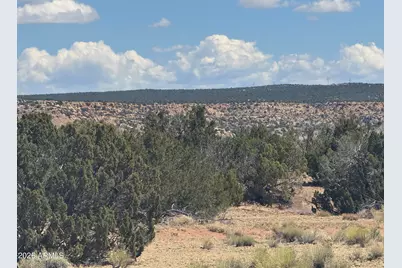 Lot 753 Woodland Valley Ranch -- #753, Saint Johns, AZ 85936 - Photo 18
