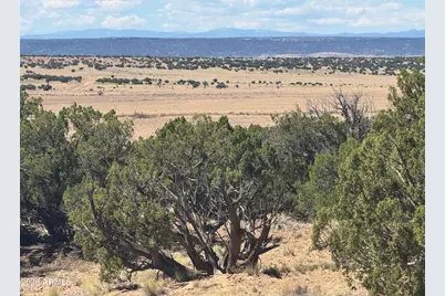 Lot 753 Woodland Valley Ranch -- #753, Saint Johns, AZ 85936 - Photo 4