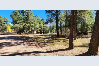 1958 Ferret Circle #260, Forest Lakes, AZ 85931 - Photo 4