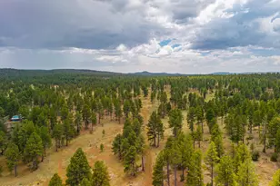 994 Osage, Flagstaff, AZ 86005 - Photo 32