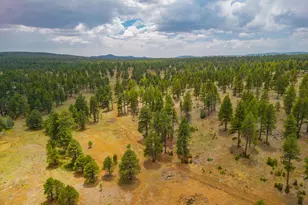 994 Osage, Flagstaff, AZ 86005 - Photo 28