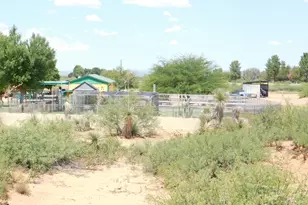 4823 W Tumbleweed Ln, McNeal, AZ 85617 - Photo 100