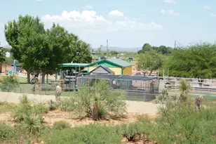4823 W Tumbleweed Ln, McNeal, AZ 85617 - Photo 98