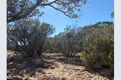 8571 Elkhorn Drive #380, Show Low, AZ 85901 - Photo 2
