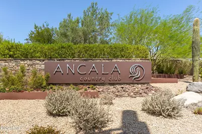 11613 N 120th Street, Scottsdale, AZ 85259 - Photo 44