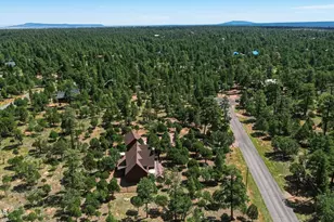 5765 Cripple Creek, Happy Jack, AZ 86024 - Photo 50
