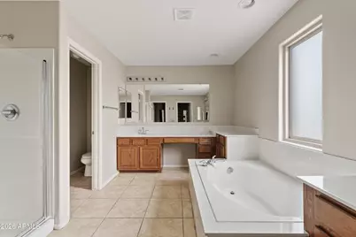 249 E Paso Fino Way, San Tan Valley, AZ 85143 - Photo 24