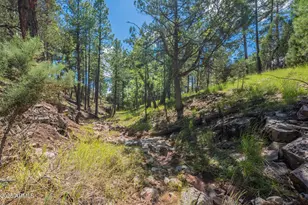 199 S Greystone Circle, Payson, AZ 85541 - Photo 68
