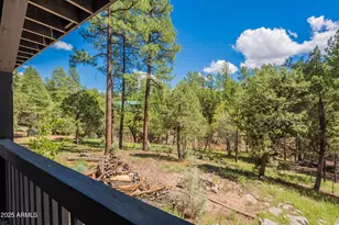 199 S Greystone Circle, Payson, AZ 85541 - Photo 58
