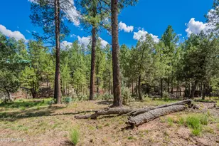 199 S Greystone Circle, Payson, AZ 85541 - Photo 72