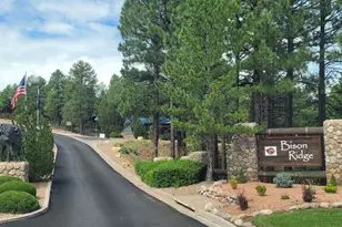2310 N Cottage Trail, Show Low, AZ 85901 - Photo 2