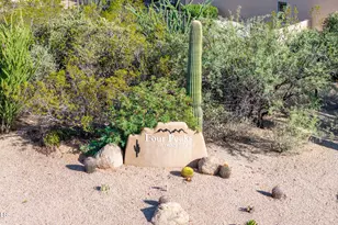 11396 E Diamond Cholla Dr, Scottsdale, AZ 85255 - Photo 60