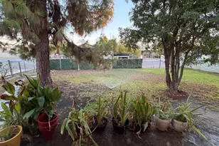 2902 W Pierce St, Phoenix, AZ 85009 - Photo 6