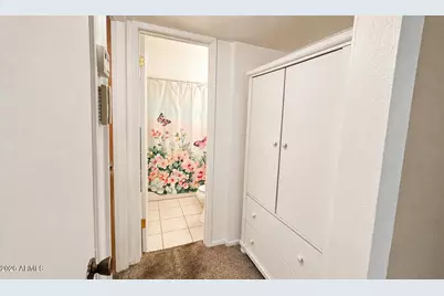2902 W Pierce Street, Phoenix, AZ 85009 - Photo 38