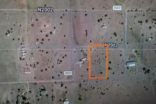49 N County Road N2003 --, Nutrioso, AZ 85932 - Photo 12