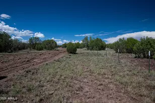 2945 Muriel Dr, Williams, AZ 86046 - Photo 42